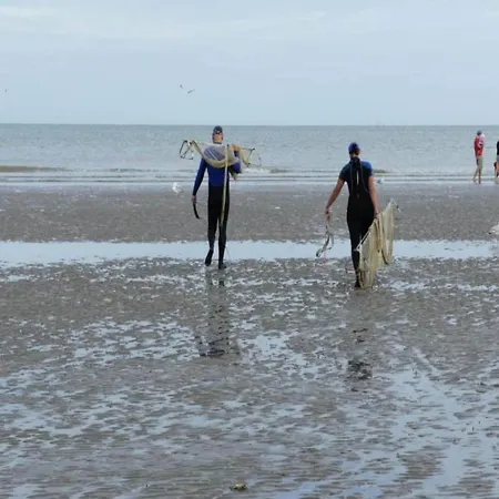 아파트 In Belgium Near Zeedijk Beach, Cleaning Included 코크시데