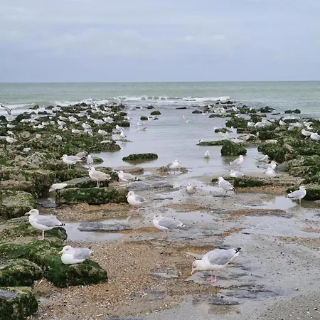 In Belgium Near Zeedijk Beach, Cleaning Included *