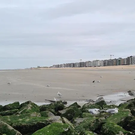 In Belgium Near Zeedijk Beach, Cleaning Included Koksijde